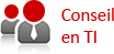 Conseil IT, Consultant IT